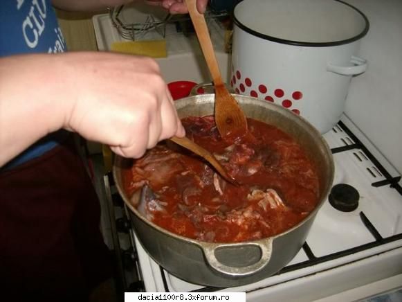 Iepure la ceaun - B20EZU - Retete culinare  numai la gratar!!!